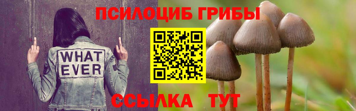 Мончегорск  Псилоцибиновые грибы MAGIC MUSHROOMS  Вход с VPN 
